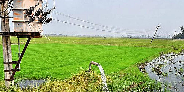 Hope to get more loans makes AP fix farm meters