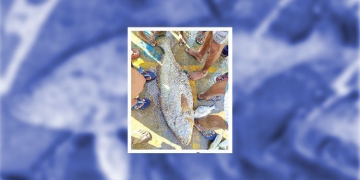 Why is Rs.1.70 lakh a low price for this fish?