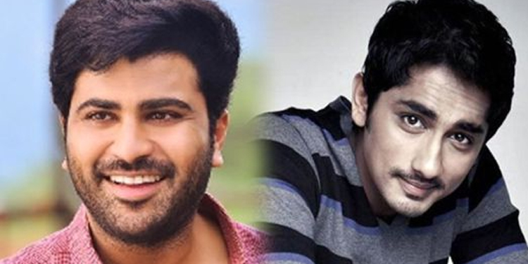 ‘Lover Boy’ Siddharth back in Tollywood!