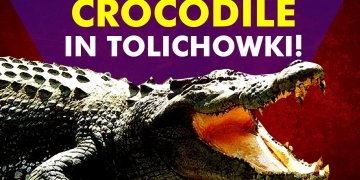 Crocodile in Hyderabad | Residents of Tolichowki shocked