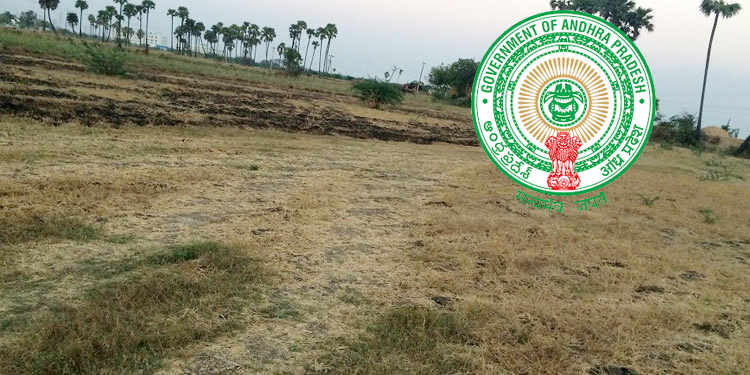 AP: Auction of government land fouled?