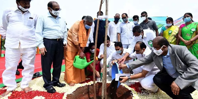 Saplings only in figures… ‘Jagananna’s Pachatoranam is drying’