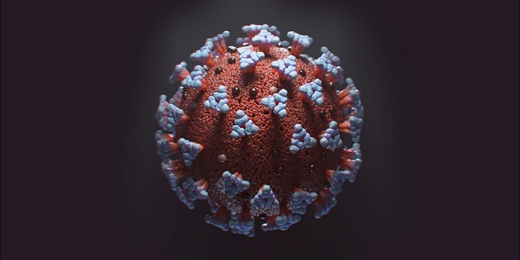 More virulent Covid19 strain than London found in S Africa?