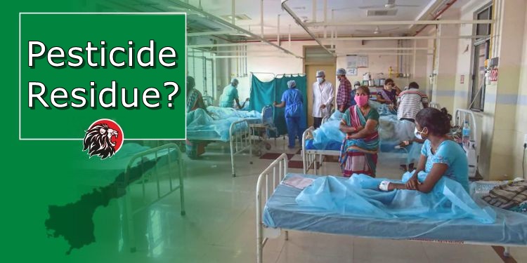 Mystery illness in Eluru due to pesticide residues?