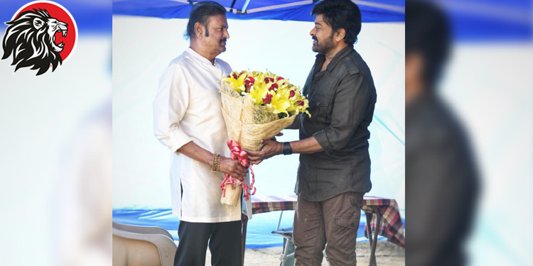 Collection King meets Megastar