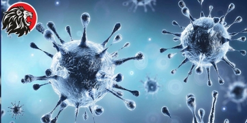 Five key genes responsible for COVID virulence!