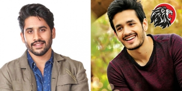 Akkineni young heroes not coming for Sankranthi?