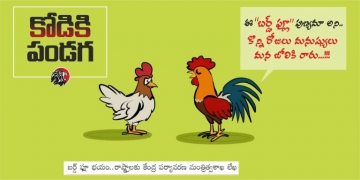 Bird-Flu Fear!