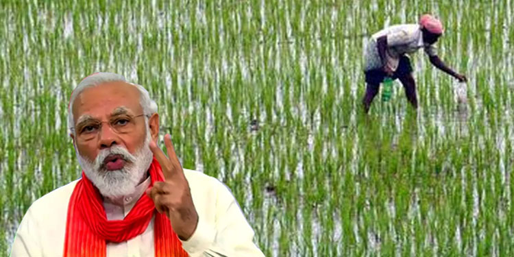 Centre agrees to withdraw controversial Farm Acts