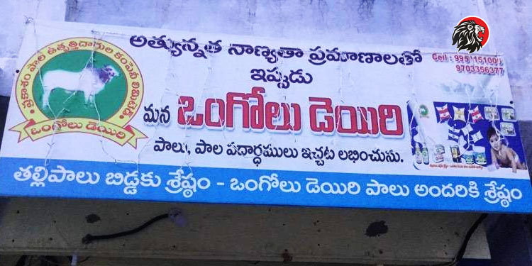 AP: AMUL acquiring Ongole Dairy leads to severe criticism
