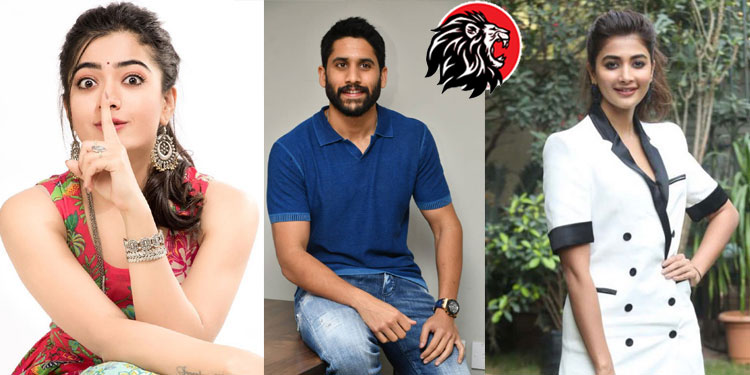 Rival babes sharing screen space in Chaitu’s film?