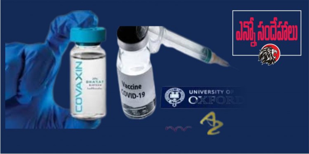 How does the government plan to vaccinate everyone?