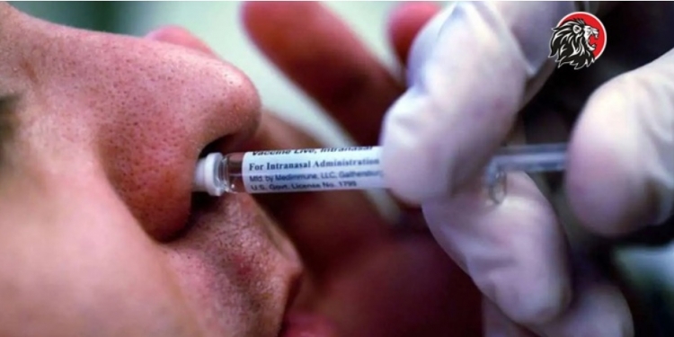 Nasal Vaccine for Covid19