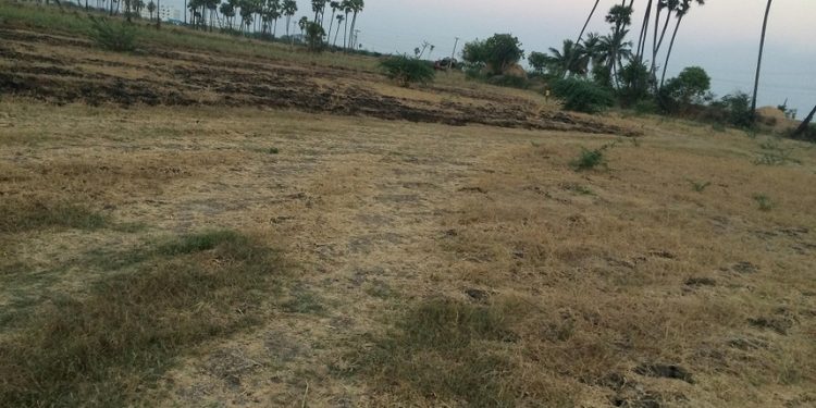 Barren vacant land