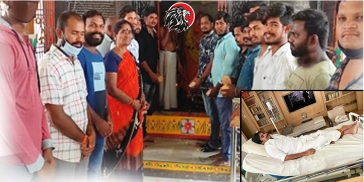 Pawan Kalyan Fans