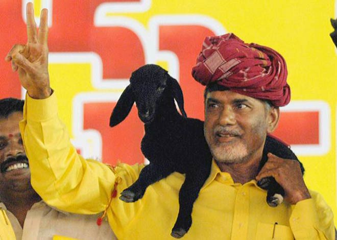 TDP Chief
