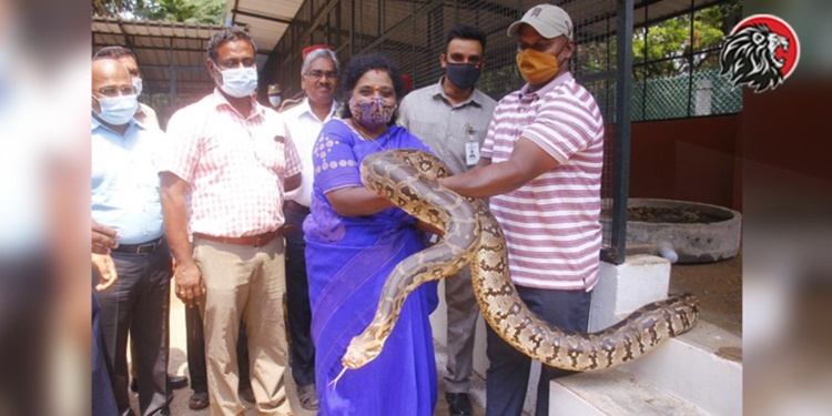 Telangana Governor Dr Tamilisai Soundararajan