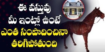 ఈ వస్తువు మీ ఇంట్లో ఉంటే ఎంత సంపాదించినా తరిగిపోతుంది | Vastu Problems | Leo Devotional