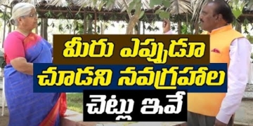 Navagraha Trees And Their Significance In Hindu Mythology | Importance Of Navagraha Trees | Leo News