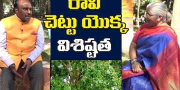 రావి చెట్టు యొక్క విశిష్టత | Unknown Facts About Raavi Tree | Leo Devotional