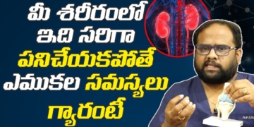 Effect Of Kidney On Bone Marrow | Spinal Problems | Acupuncture And Traditional Medicine |