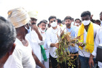 Nara Lokesh Tour of Anantapur District to meet flood affected farmers