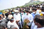Nara Lokesh Tour of Anantapur District to meet flood affected farmers