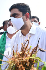 Nara Lokesh Tour of Anantapur District to meet flood affected farmers