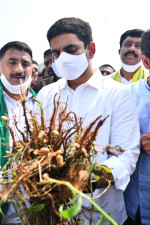 Nara Lokesh Tour of Anantapur District to meet flood affected farmers