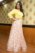 Sreemukhi Super Hot Pics