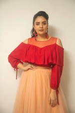 Sreemukhi Super Hot Pics