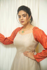 Sreemukhi Super Hot Pics