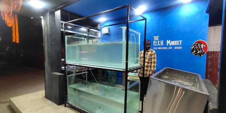 Live Fish Sales Through Kiosk