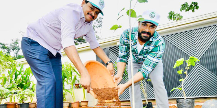 green india challenge