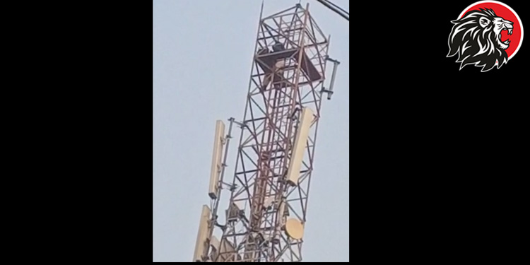 celltower
