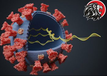 new corona virus