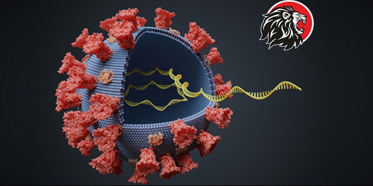 new corona virus
