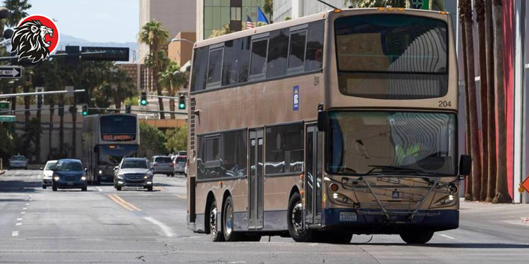 double decker