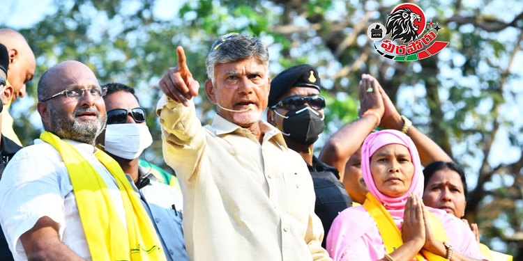 చంద్రబాబు రోడ్ షో - www.theleonews.com