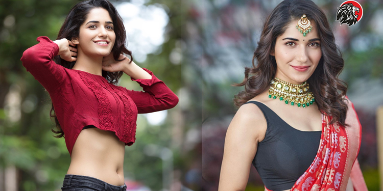 Ruhani Sharma Casted Into A Big Movie